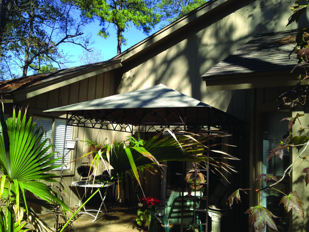 Before new patio cover